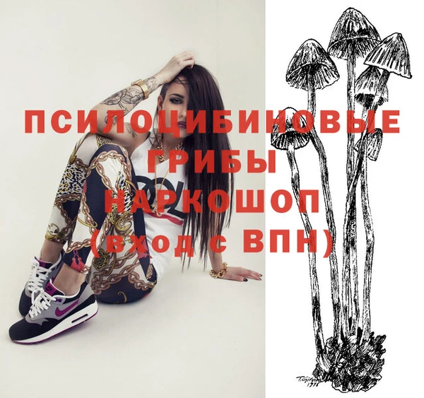a pvp Алзамай