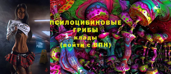 скорость Алексин