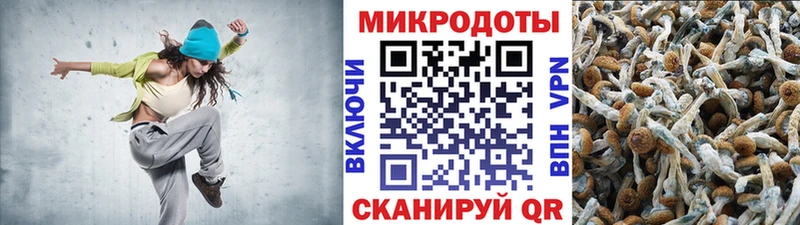 дарк нет телеграм  где найти наркотики  Александровское  Галлюциногенные грибы прущие грибы 
